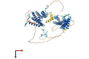 SRP68 Protein (AA 1-627) (His tag)