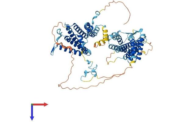 SRP68 Protein (AA 1-627) (His tag)