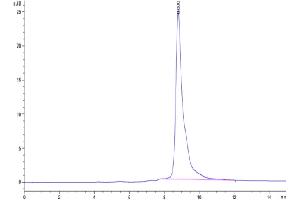 Size-exclusion chromatography-High Pressure Liquid Chromatography (SEC-HPLC) image for Hepatocyte Growth Factor (Hepapoietin A, Scatter Factor) (HGF) (AA 32-728) protein (His tag) (ABIN7274808)