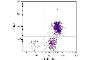 Chicken peripheral blood lymphocytes were stained with Mouse Anti-Chicken CD44-BIOT. (CD44 Antikörper  (Biotin))