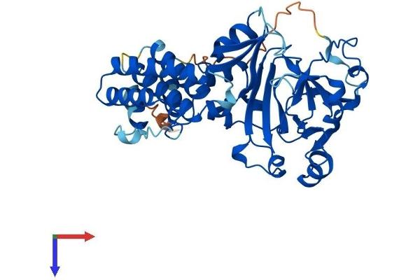 JMJD5 Protein (AA 1-416) (His tag)