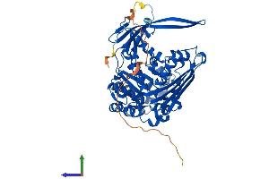 Protein Structure (PS) image for Inositol-3-Phosphate Synthase 1 (ISYNA1) (AA 1-558) protein (His tag) (ABIN7548532)