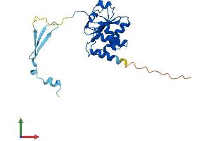 Protein Structure (PS) image for Dual Specificity Phosphatase 19 (DUSP19) (AA 1-220) protein (His tag) (ABIN7559585)