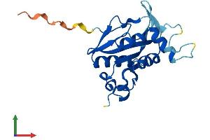 Protein Structure (PS) image for Josephin Domain Containing 2 (JOSD2) (AA 1-188) protein (His tag) (ABIN7548673)