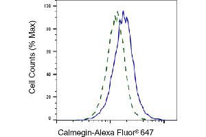 Validation of Calmegin knockdown using flow cytometry. (Rekombinanter Calmegin Antikörper)