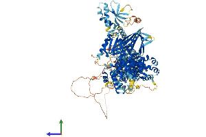 Protein Structure (PS) image for TBC1 Domain Family, Member 8 (With GRAM Domain) (TBC1D8) (AA 1-1134) protein (His tag) (ABIN7565273)