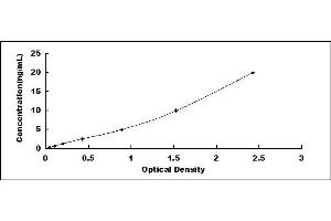 Typical standard curve (Chitotriosidase 1 ELISA Kit)