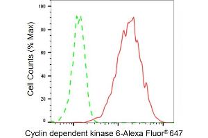 Flow cytometric analysis of Cyclin dependent kinase 6 expression in HAP-1 cells using Cyclin dependent kinase 6 antibody ( (ABIN7798220), 1:2,000).