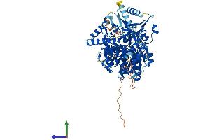 Protein Structure (PS) image for DEAH (Asp-Glu-Ala-His) Box Polypeptide 32 (DHX32) (AA 1-743) protein (His tag) (ABIN7547131)