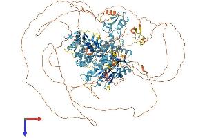 POGZ Protein (AA 1-1410) (His tag)