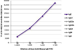 FLISA plate was coated with purified mouse IgE, IgG1, IgG2a, IgG2b, IgG3, IgM, and IgA. (Ziege anti-Maus IgE Antikörper (FITC))