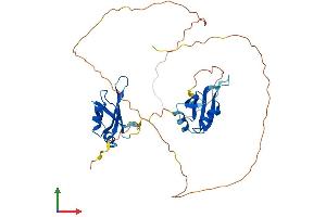Protein Structure (PS) image for Musashi Homolog 1 (Drosophila) (MSI1) (AA 1-362) protein (His tag) (ABIN7557711)