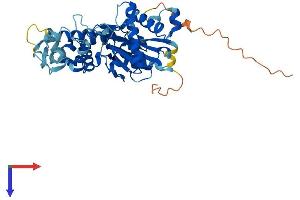 AlphaFold protein structure predicition of Human Recombinant ACTR10 Protein, UniprotID Q9NZ32