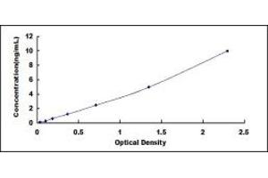 Typical standard curve (SDCBP2 ELISA Kit)