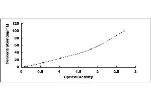 Typical standard curve (LALBA ELISA Kit)