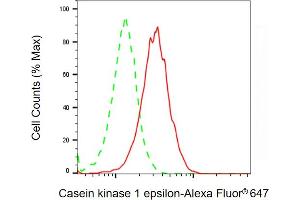 Flow cytometric analysis of Casein kinase 1 epsilon expression in HT- cells using Casein kinase 1 epsilon antibody ( (ABIN7797881), 1:2,000). (CK1 epsilon Antikörper)