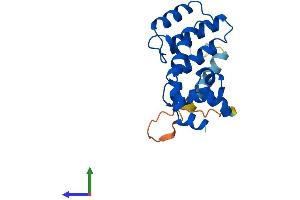 Protein Structure (PS) image for Regulator of G-Protein Signaling 5 (RGS5) (AA 1-181) protein (His tag) (ABIN7551381)