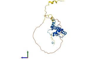 Protein Structure (PS) image for DnaJ (Hsp40) Homolog, Subfamily C, Member 12 (DNAJC12) (AA 1-198) protein (His tag) (ABIN7547116)
