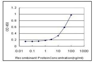 ELISA image for anti-Vitamin D Receptor (VDR) (AA 1-428) antibody (ABIN614675) (Vitamin D Receptor Antikörper  (AA 1-428))