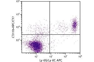 BALB/c mouse splenocytes were stained with Rat Anti-Mouse CD11b-APC/CY7. (CD11b Antikörper  (APC-Cy7))