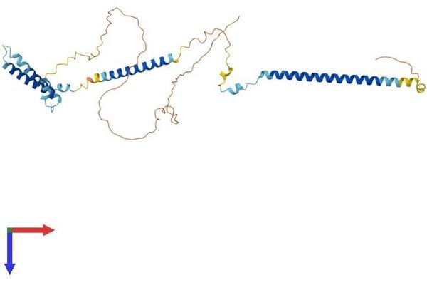 DSN1 Protein (AA 1-348) (His tag)