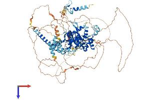 OTUD7A Protein (AA 1-926) (His tag)