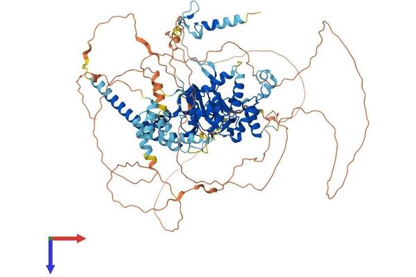 OTUD7A Protein (AA 1-926) (His tag)
