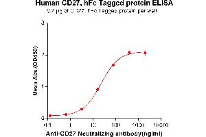 ELISA image for CD27 Molecule (CD27) (AA 20-191) protein (Fc Tag) (ABIN6961160)