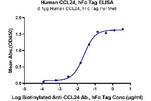 ELISA image for Chemokine (C-C Motif) Ligand 24 (CCL24) (AA 27-119) protein (Fc Tag) (ABIN7274048)