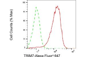 Flow cytometric analysis of TRIM7 expression in HeLa cells using TRIM7 antibody (ABIN7800643), 1:2,000). (TRIM7 Antikörper)