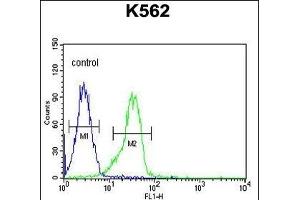 FA Antibody (N-term) (ABIN654099 and ABIN2843983) flow cytometric analysis of K562 cells (right histogram) compared to a negative control cell (left histogram). (FAM155A Antikörper  (N-Term))