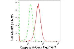 Flow cytometric analysis of Caspase 8 beta expression in HeLa cells using Caspase 8 beta antibody (ABIN7797907), 1:2,000). (Rekombinanter Caspase 8 Antikörper)