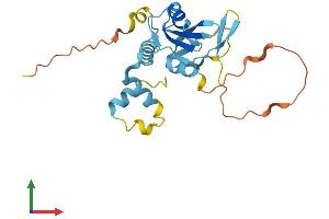 Protein Structure (PS) image for Suppressor of Cytokine Signaling 3 (SOCS3) (AA 1-225) protein (His tag) (ABIN7562372)