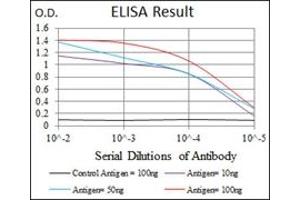 ELISA image for anti-Thrombopoietin (THPO) antibody (ABIN1109245) (Thrombopoietin Antikörper)