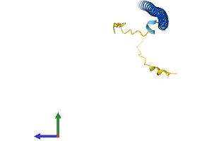 Protein Structure (PS) image for Basic Leucine Zipper Transcriptional Factor ATF-Like 3 (BATF3) (AA 1-118) protein (His tag) (ABIN7560901)