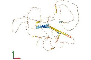 AlphaFold protein structure predicition of Human Recombinant TMEM200C Protein, UniprotID A6NKL6