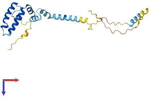 DNAJC5B Protein (AA 1-199) (His tag)