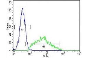 Flow Cytometry (FACS) image for anti-Leptin (LEP) (AA 8-37) antibody (ABIN3031600)