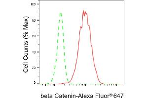 Flow cytometric analysis of beta Catenin expression in C2C12 cells using beta Catenin antibody (ABIN7797936), 1:2,000). (Rekombinanter beta Catenin Antikörper)