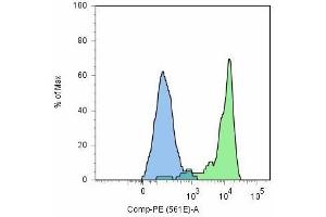 Flow cytometry analysis (surface staining) of GCPII / PSMA using anti-GCPII (GCP-05) and goat anti-mouse-PE on LNCaP cell line (positive, green) and HeLa cells (negative, blue). (PSMA Antikörper  (AA 44-750))