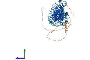 Protein Structure (PS) image for Leucine Rich Repeat Containing 8 Family, Member D (LRRC8D) (AA 1-859) protein (His tag) (ABIN7564342)