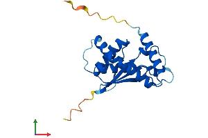 Protein Structure (PS) image for BET3 Like (BET3L) (AA 1-181) protein (His tag) (ABIN7544668)
