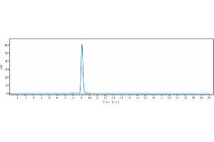 The purity of Anti-ROR1 Reference Antibody (zilovertamab) is 98. (Rekombinanter ROR1 (Zilovertamab Biosimilar) Antikörper)