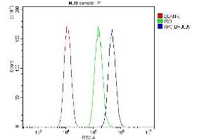 Flow Cytometry analysis of A549 cells using anti-XPC antibody (ABIN7600078). (XPC Antikörper  (AA 146-838))