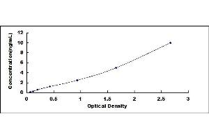 Typical standard curve (SESN1 ELISA Kit)