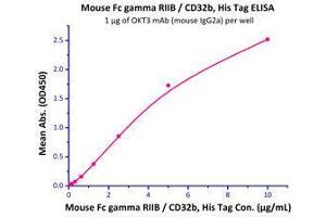 Immobilized OKT3 mAb (mouse IgG2a) at 10 μg/mL (100 μl/well) can bind Mouse Fc gamma RIIB / CD32b, His Tag (Cat# CDB-M52H7) with a linear range of 0. (FCGR2B Protein (AA 40-217) (His tag))