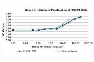 SDS-PAGE of Mouse Insulin-like Growth Factor I Recombinant Protein Bioactivity of Mouse Insulin-like Growth Factor I Recombinant Protein. (IGF1 Protein)
