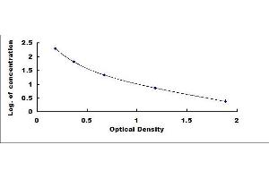 Calreticulin (CALR) ELISA Kit