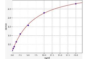 PNPLA2 ELISA Kit