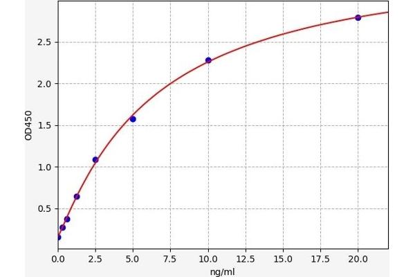 PNPLA2 ELISA Kit